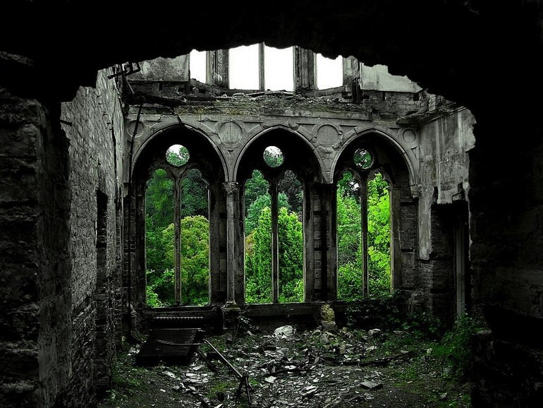 church taken over by nature